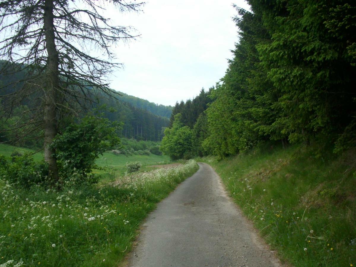 Gasthof Susewind Antfeld Екстериор снимка