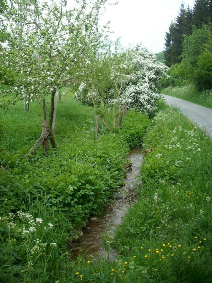 Gasthof Susewind Antfeld Екстериор снимка